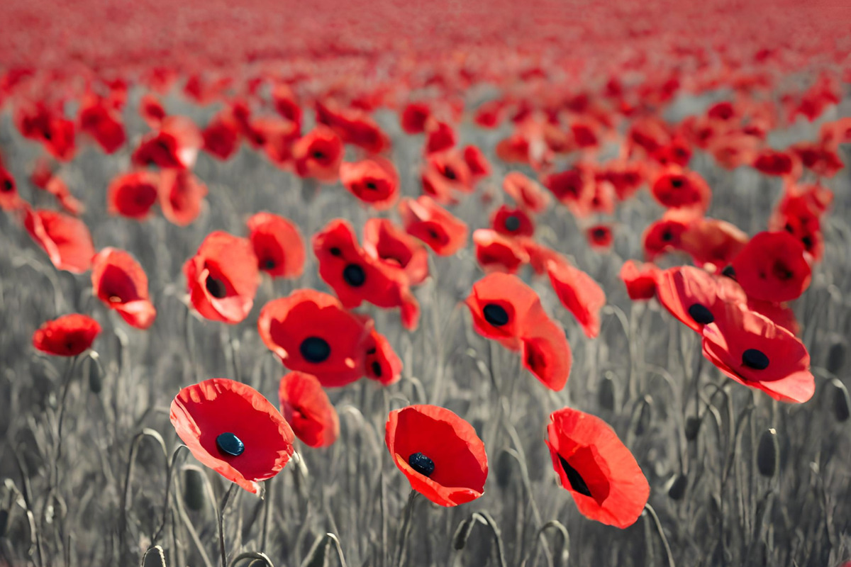 Remembrance Day