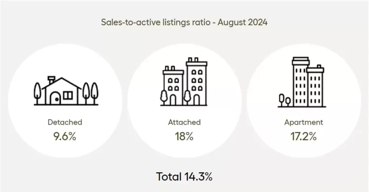 MARKET UPDATE: Sales-to-active listings ratio - August 2024
